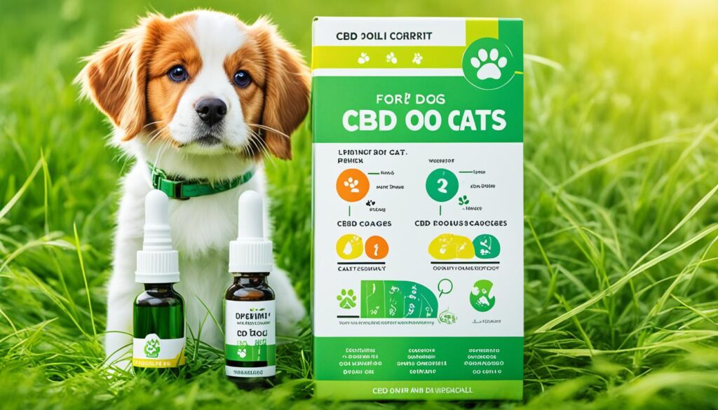 huile cbd chien chat dosage